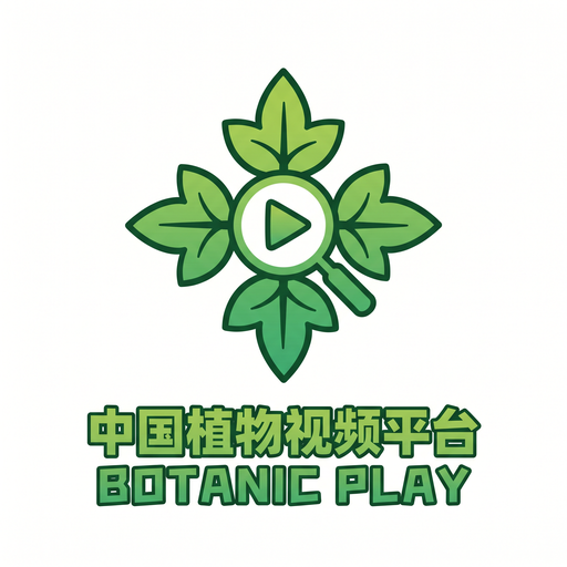 四虎视频